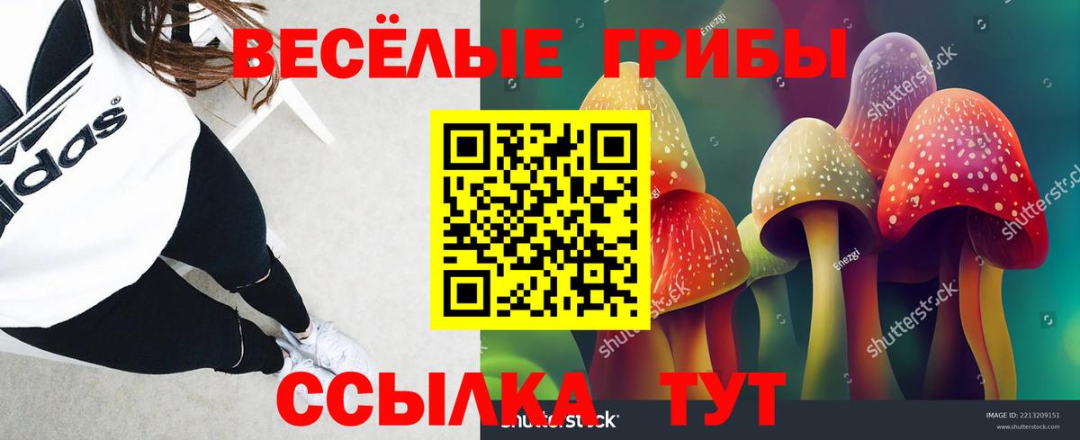 Кореновск  Галлюциногенные грибы Psilocybe  Галлюциногенные грибы Psilocybe  Вход с VPN 