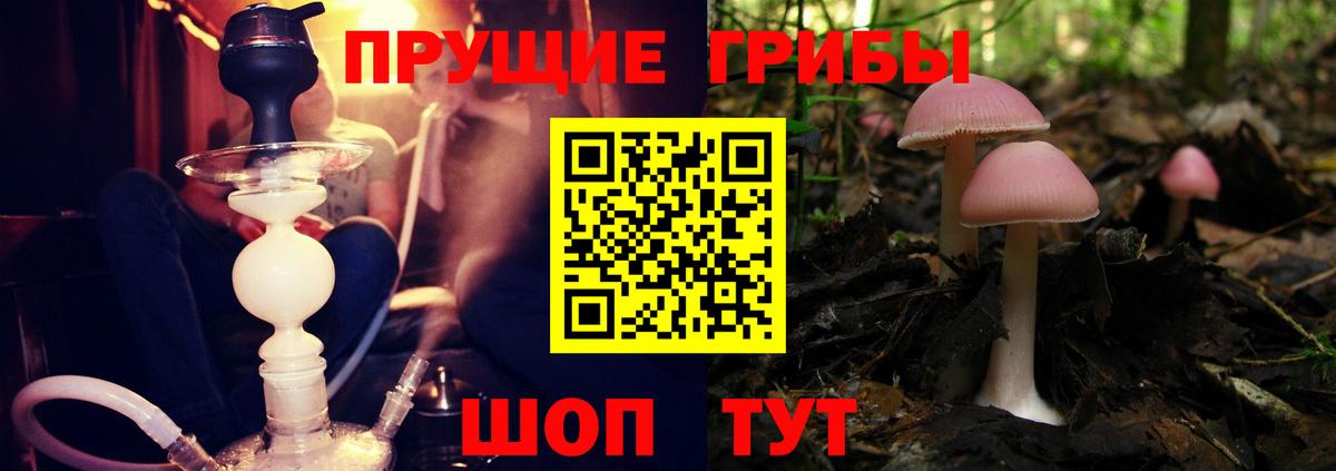 Псилоцибиновые грибы Cubensis Кореновск
